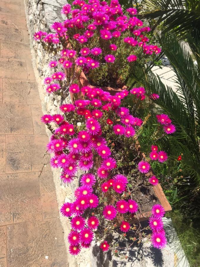 Le Rocce Bed & Breakfast SantʼAgata deʼ Goti Dış mekan fotoğraf