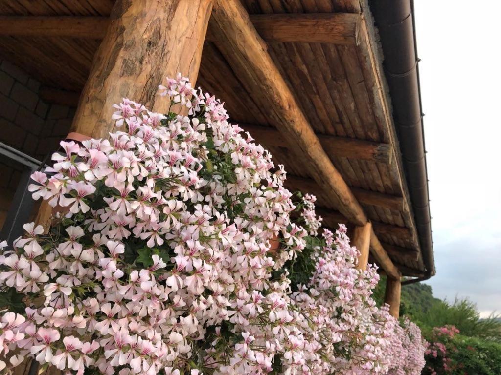 Le Rocce Bed & Breakfast SantʼAgata deʼ Goti Dış mekan fotoğraf