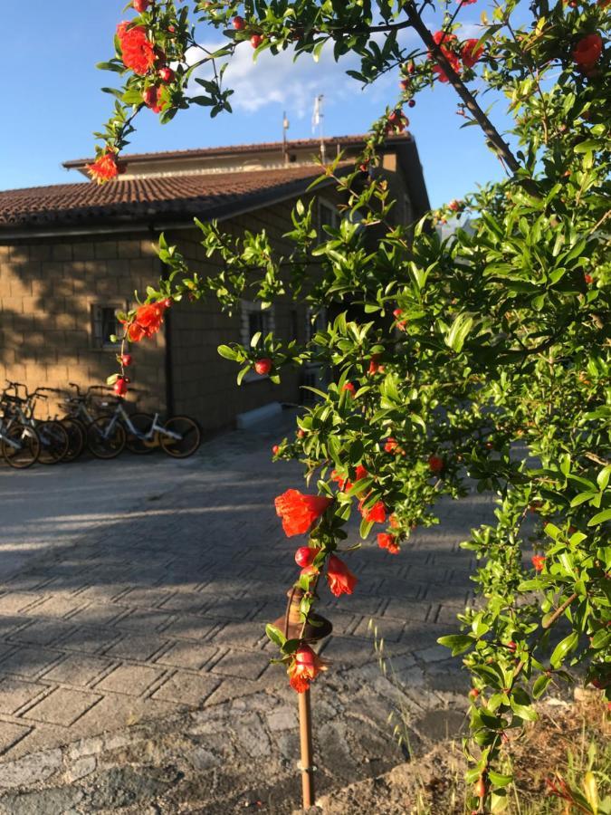 Le Rocce Bed & Breakfast SantʼAgata deʼ Goti Dış mekan fotoğraf