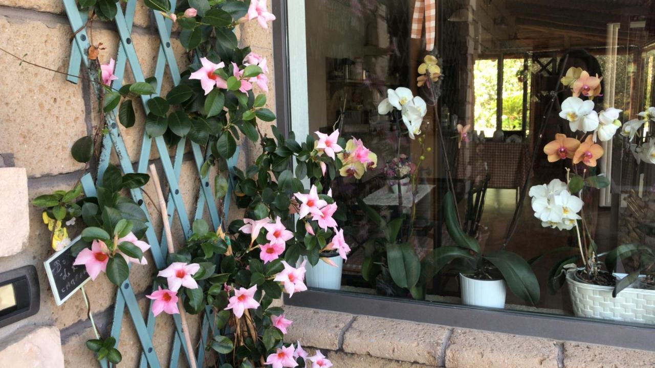Le Rocce Bed & Breakfast SantʼAgata deʼ Goti Dış mekan fotoğraf